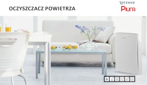 rotenso_p22v_add6.jpg