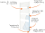 budowa_doris.png